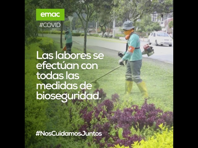 Servicios de mantenimiento de áreas verdes programados